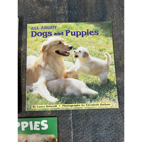 My Dog Is a Hero by Anita Ganeri, All About Dogs and Puppies Kids Paperback Book - Picture 3 of 6